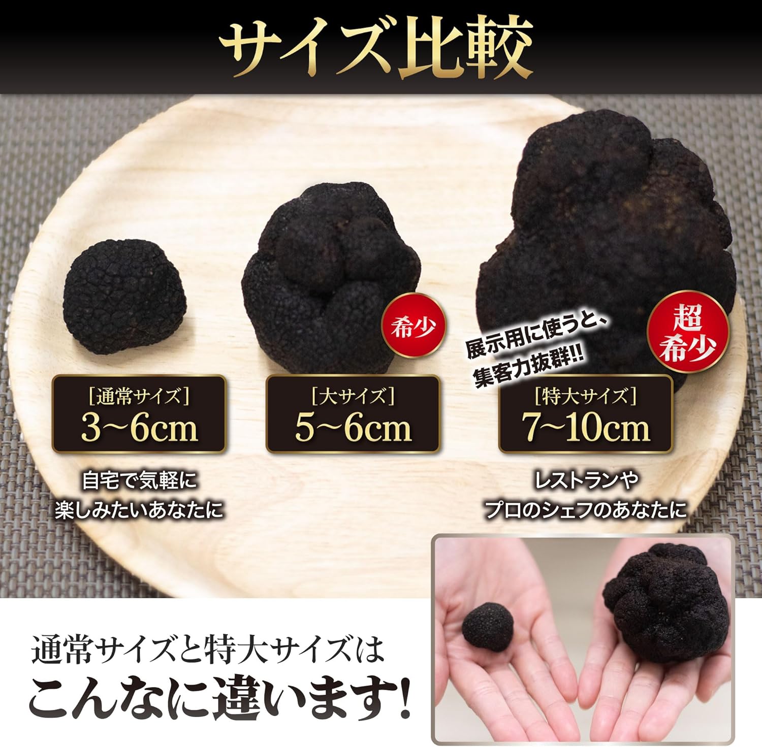 大サイズ 天然 トリュフ【 黒トリュフ 約50〜90g】5〜6cm 希少 展示